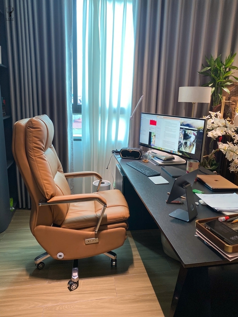 Ghế thư giãn decor chỉnh điện văn phòng