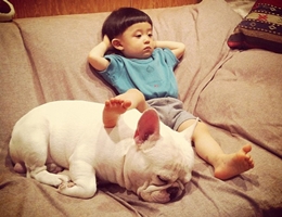 Nên hay không nên cho trẻ tự kỷ chơi với thú cưng